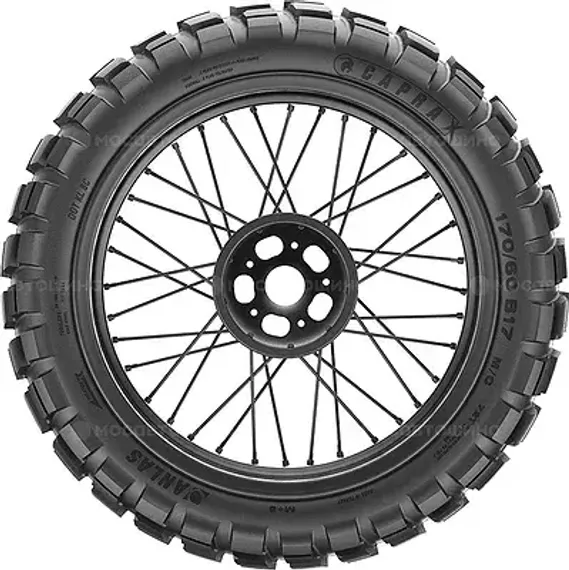 Anlas Capra-X 120/70 R19 60T