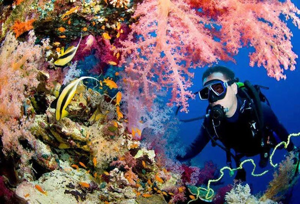 Дайвинг в Алании