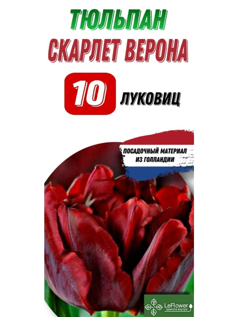 Тюльпан Луковица, Скарлет Верона, 10шт