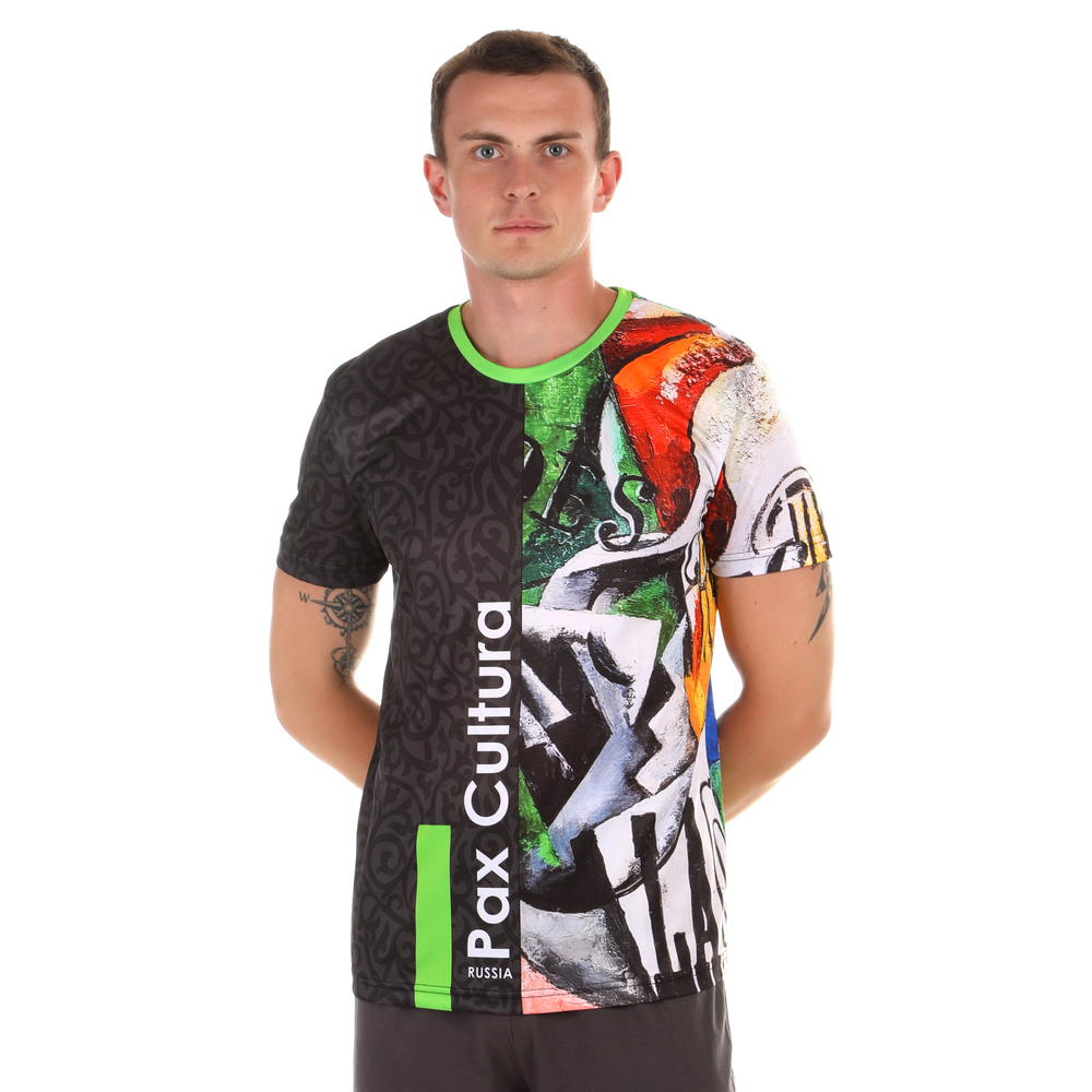 Мужская футболка темно-серая с разноцветным принтом Sesmik by Vlad Sedov VS002/VS0053