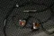 Noble Audio Sultan + Noble Audio Standard Cable with Interchangeable Termination 2Pin