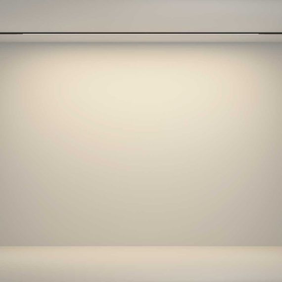 Трековый светильник Maytoni Technical TR180-1-24WTW-B