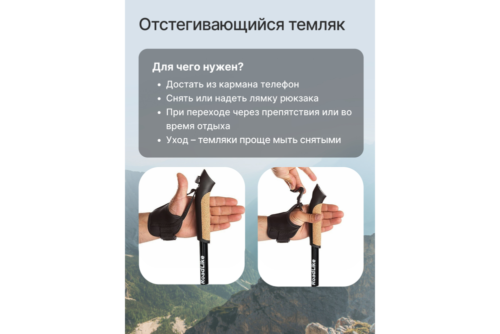 Палки для скандинавской ходьбы Roadlike Start с антишоком, Twist-Lock, черный