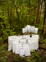 Сухой корм SHAMAN "Дух дикой природы" Ягненок с осетриной 10 кг; мелкая гранула; для взрослых собак; Класс Холистик