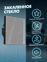 Выключатель сенсорный двухклавишный для дома