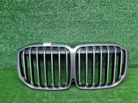 Решетка радиатора BMW X7 G07 (2019-2022)