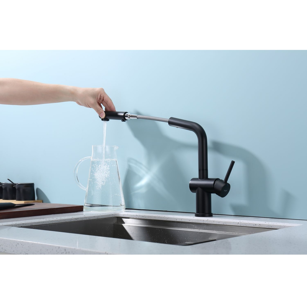 Смеситель для кухни с выдвижным изливом Raglo R86.49.06, черный