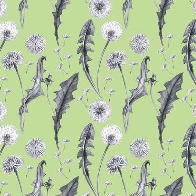 Одуванчики 2