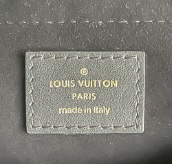 Louis Vuitton New Wave Chain Bag