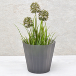 Кашпо Sand Orchid Cristallo 2л D160мм, ночная река