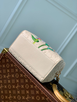 Louis Vuitton Speedy 25