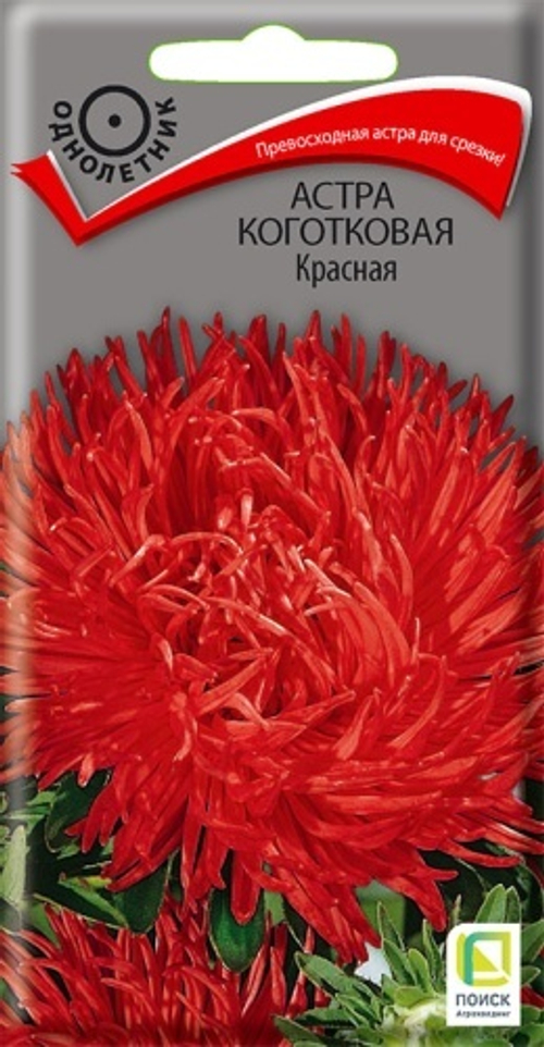 Астра коготковая Красная 0,3гр Поиск