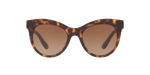 Dolce & Gabbana DG4311 502/13