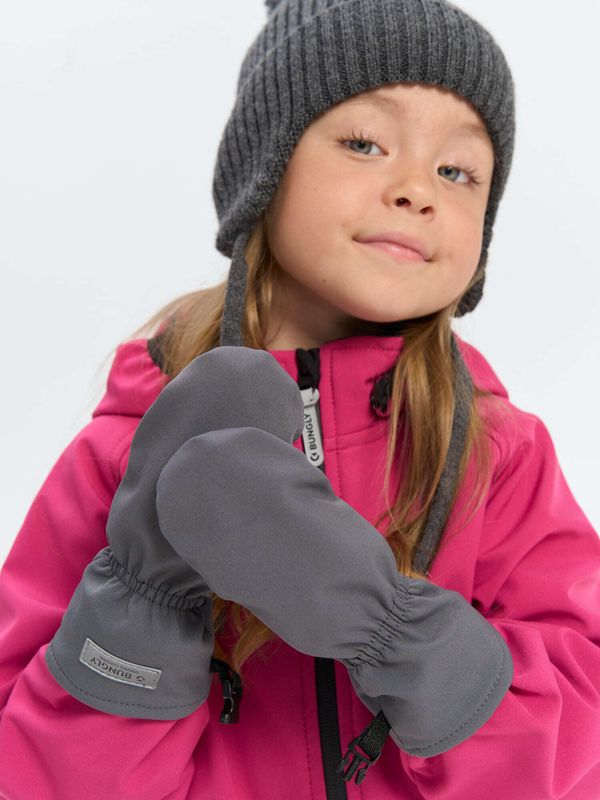 Варежки Softshell 