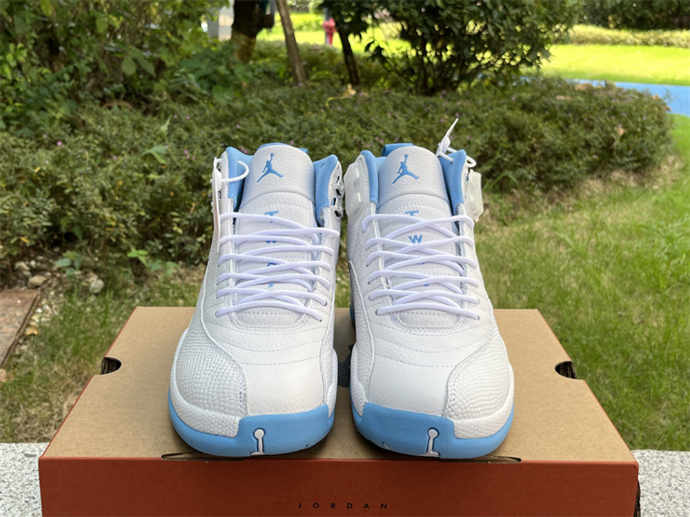 Air Jordan 12 308243-142