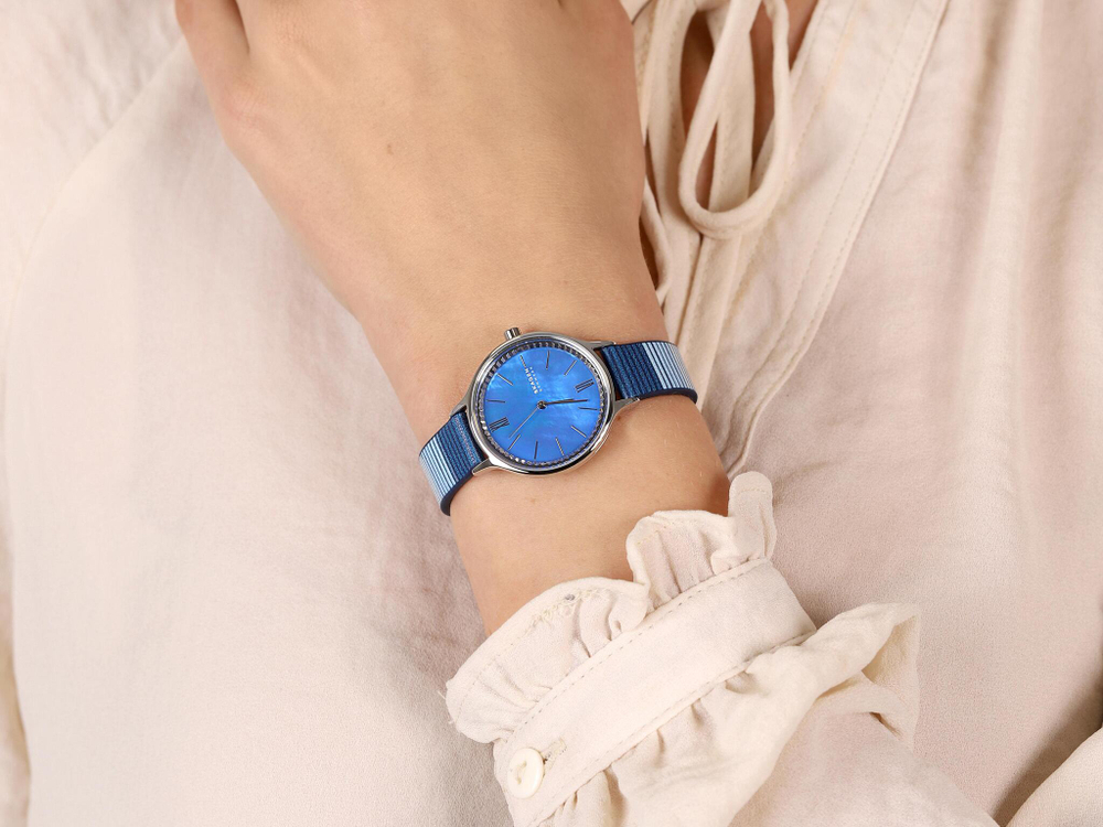 Женские наручные часы Skagen SKW2906
