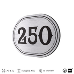 Номерок на дверь квартиры 250, для кабинета, офиса, шильдик 9 х 7 см, серебристый, Айдентика Технолоджи