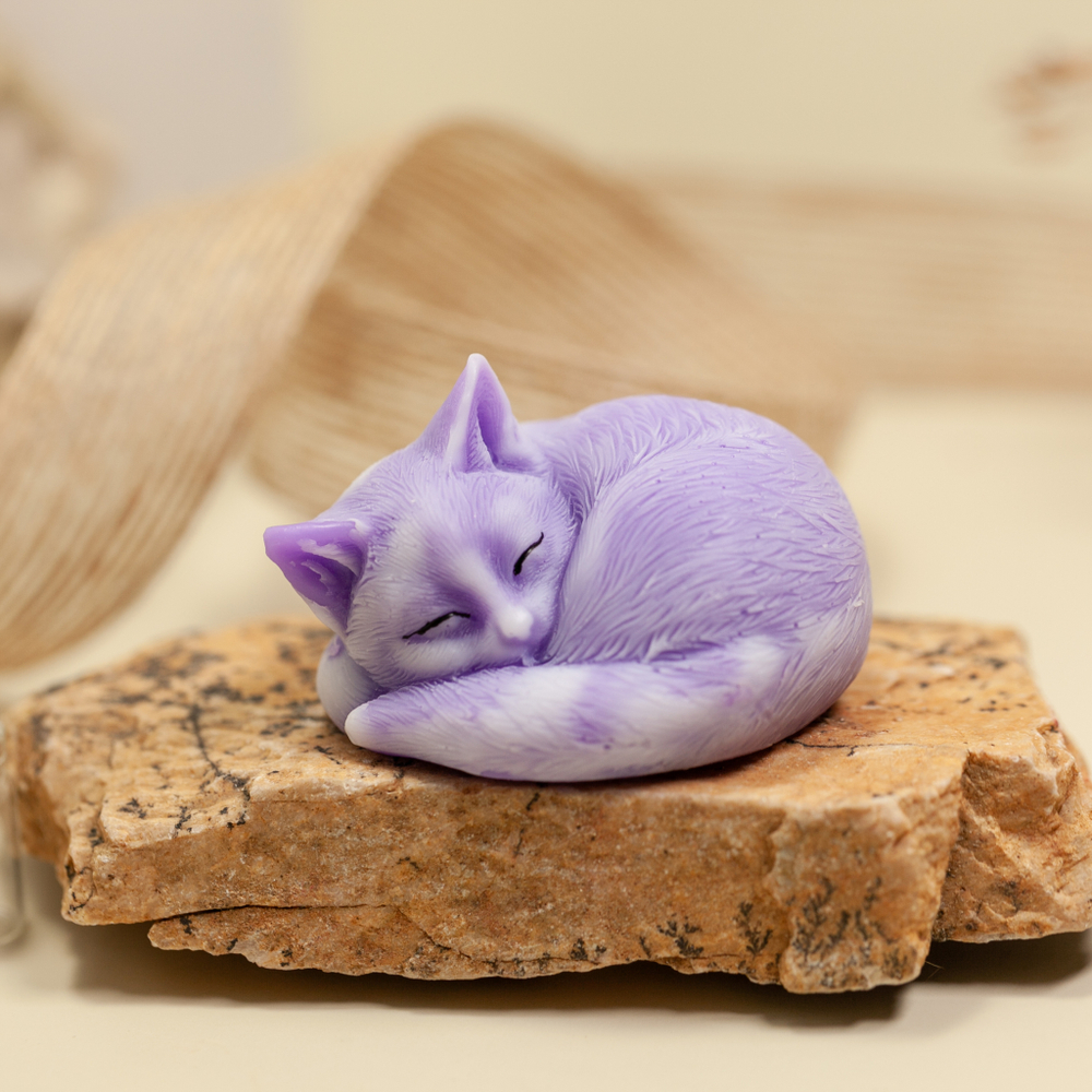 Котенок спящий