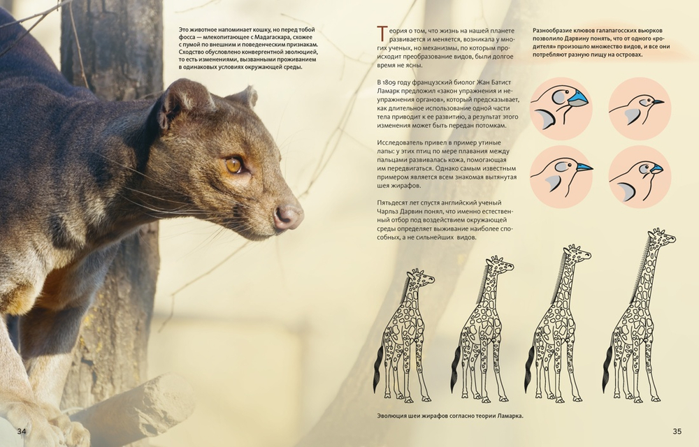 Огромная энциклопедия животных мира