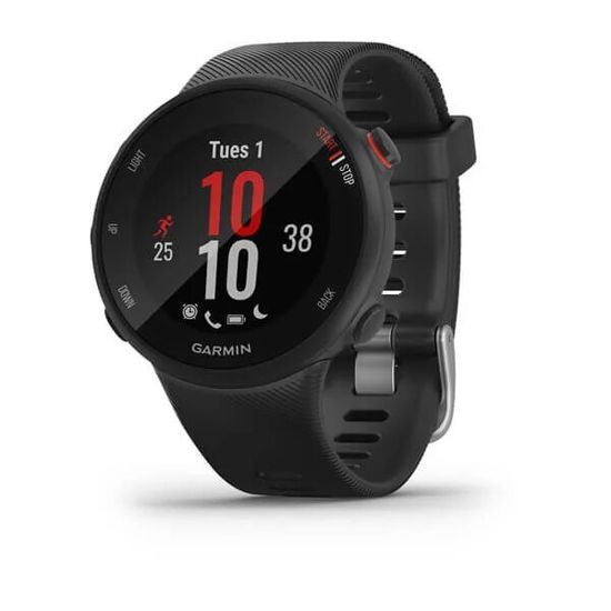 Беговые GPS часы Garmin Forerunner 45S (черные) 010-02156-12