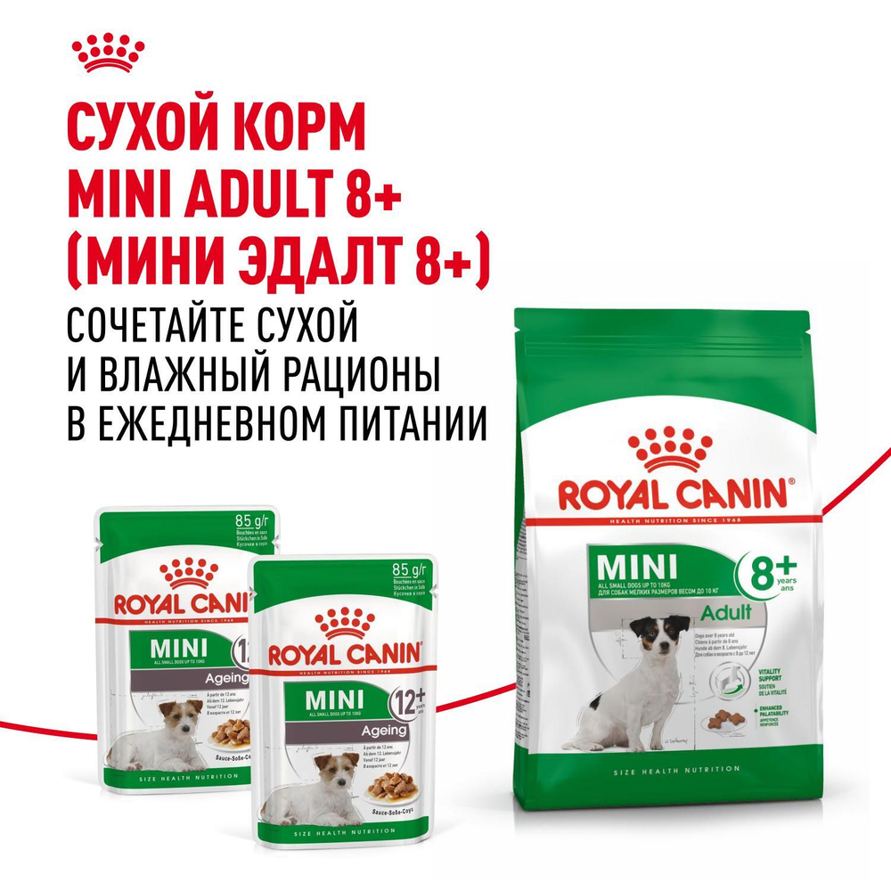 Royal Canin Mini Ageing 12+ Корм консервированный для стареющих собак мелких размеров 85г