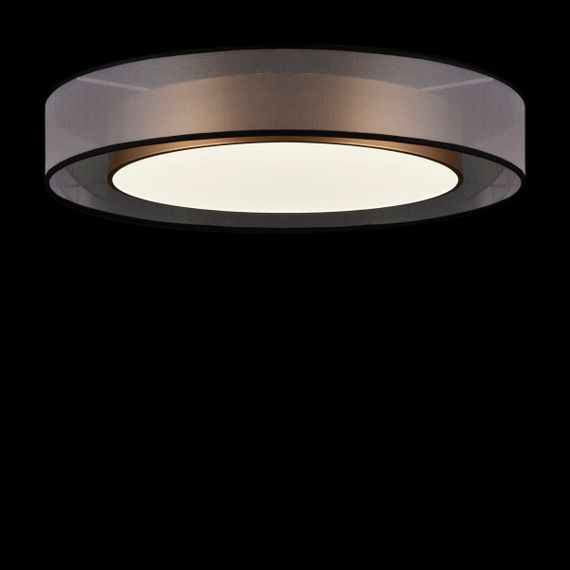 Потолочный светодиодный светильник Freya Zoticus FR6005CL-L48G