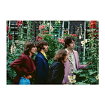 The Beatles: Tom Murray’s Mad Day Out / Paul Skellett, Tom Murray, Simon Weitzman