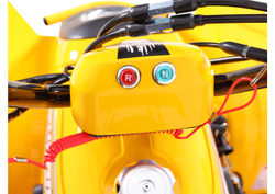 Квадроцикл SHARMAX 130 Cross