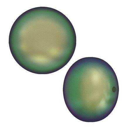 evoli 5860 Crystal Scarabaeus Green Pearl