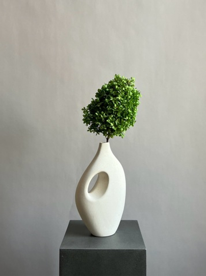 Гортензия стабилизированная зеленая крупнолистная