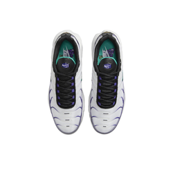 Мужские кроссовки Nike Air Max Plus 'Grape' DM0032‑100