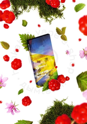 Сарма - Княженика 40г.