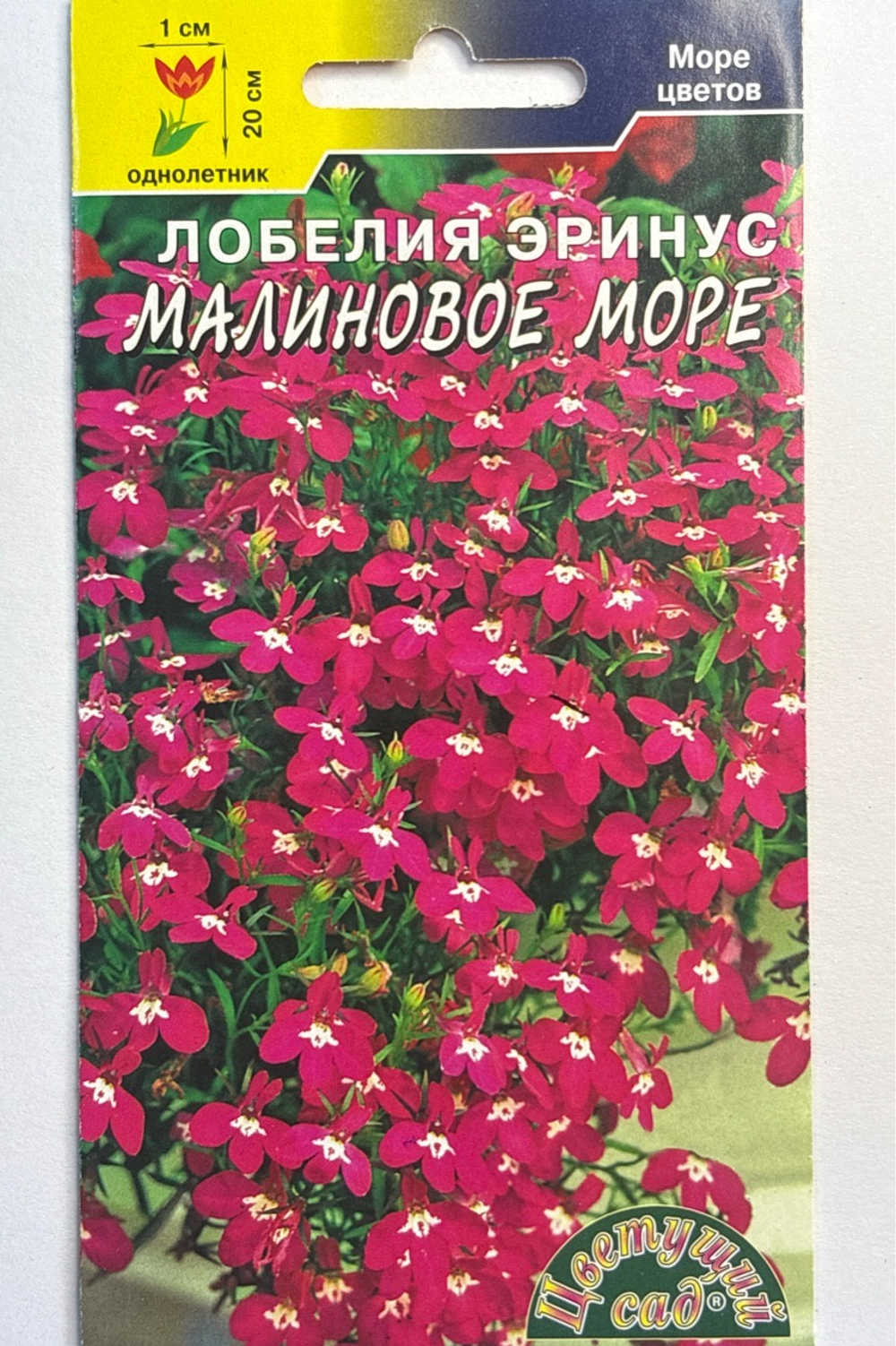 Лобелия Малиновое море 0,03 г СМЦ-34