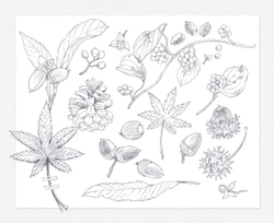 [Vol.2] Wild mouse Yururi's journey sketch. Coloring Book