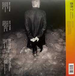Виниловая пластинка Sting The Bridge