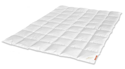 Одеяло пуховое теплое 200х220 Kauffmann Премиум Тенсел Сильвер Протекшн Австрия фото