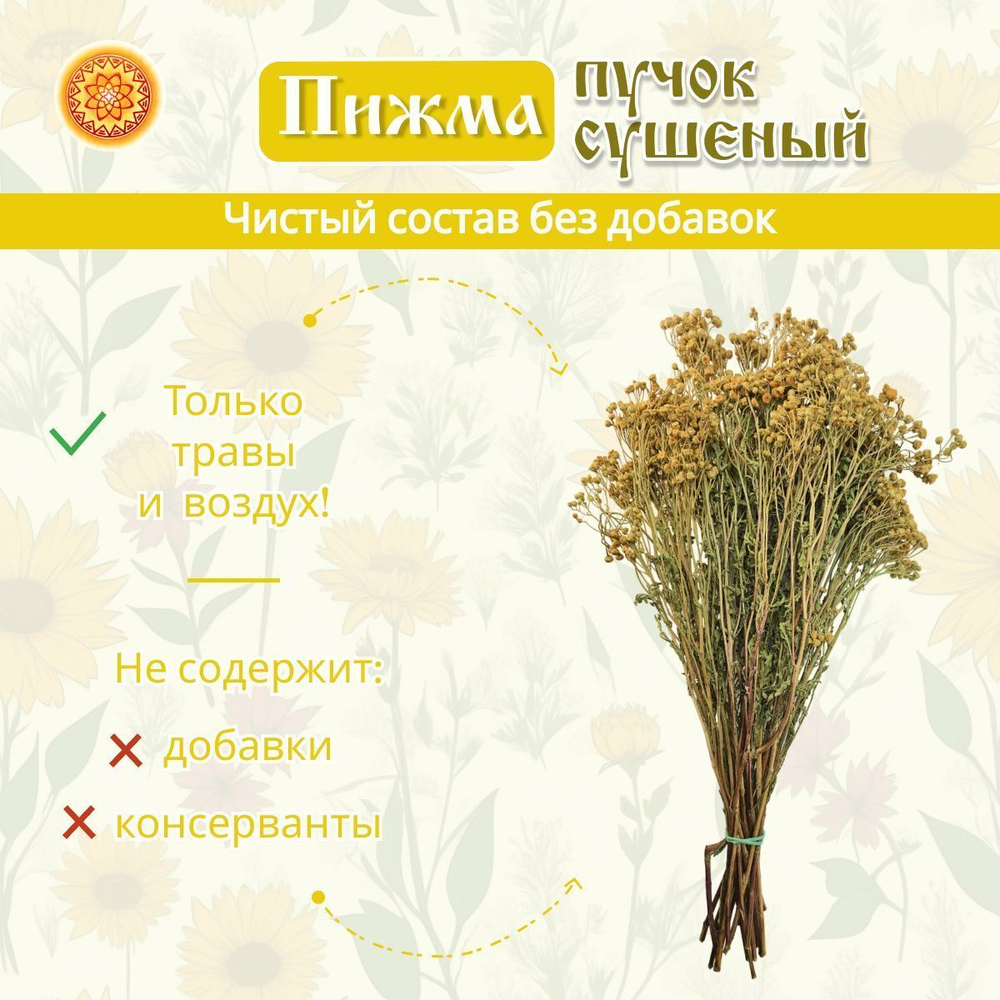 Пижма, пучок (1 шт.)  ПЖПЧ-00-001