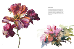 Rosie Sanders' Roses: A Celebration In Botanical Art