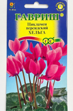 Цикламен Хельга 3 шт СМЦ-365