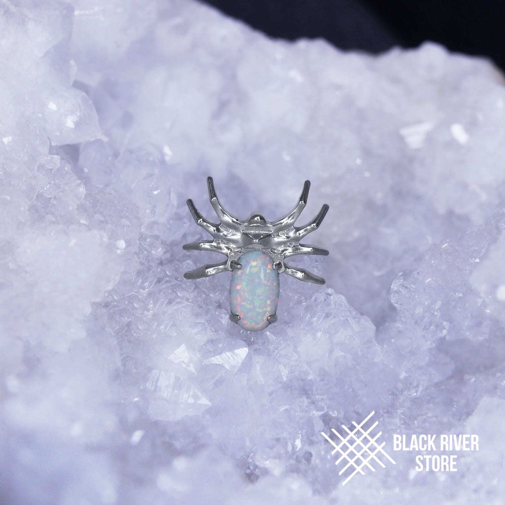 Spider Mini Opal #17