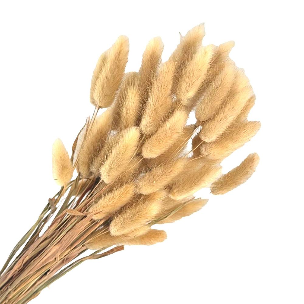 Сухоцветы ЛАГУРУС 65см 34гр НАТУРАЛЬНЫЙ