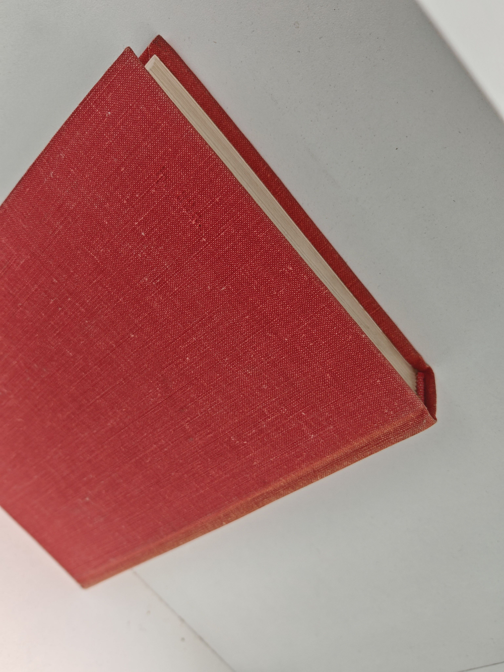 Мост короля Людовика Святого. День восьмой