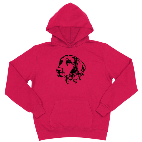 Толстовка "Курцхаар - портрет"