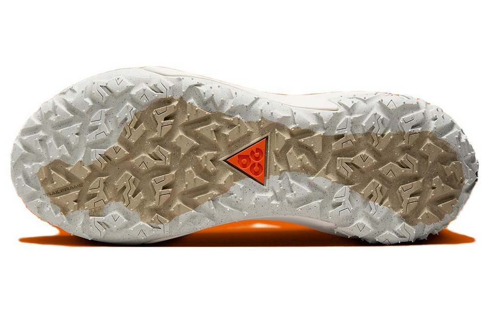Кроссовки Nike Acg Mountain Fly 2 Low Gore-Tex