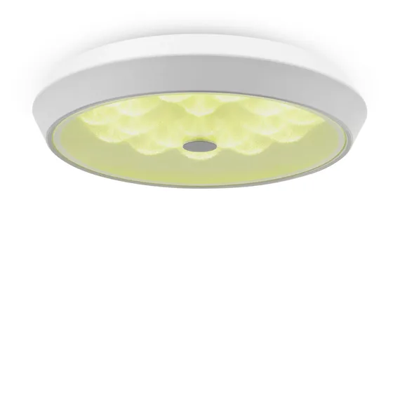 Потолочный светильник Элементы / Cells Freya fr10012cl-l24w