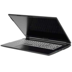 Ноутбук Dream Machines RG3050-17RU25-wpro