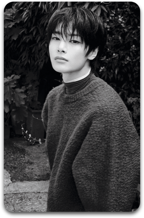 Карта / STRAY KIDS #1826