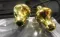 Final Audio Design Piano Forte X Gold