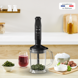 Погружной блендер Moulinex Optichef DD64R810