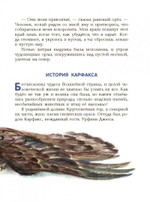 Огненный бог Марранов (ил. А. Власовой) (#4)